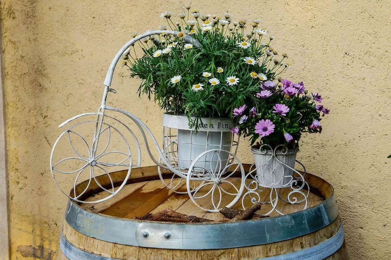 Bed & Breakfast Bed and Breakfast Casale Del Sole Garda Monzambano